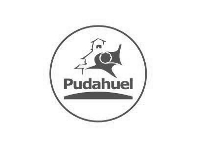 ILUSTRE MUNICIPALIDAD DE PUDAHUEL ILUSTRE MUNICIPALIDAD DE PUDAHUEL